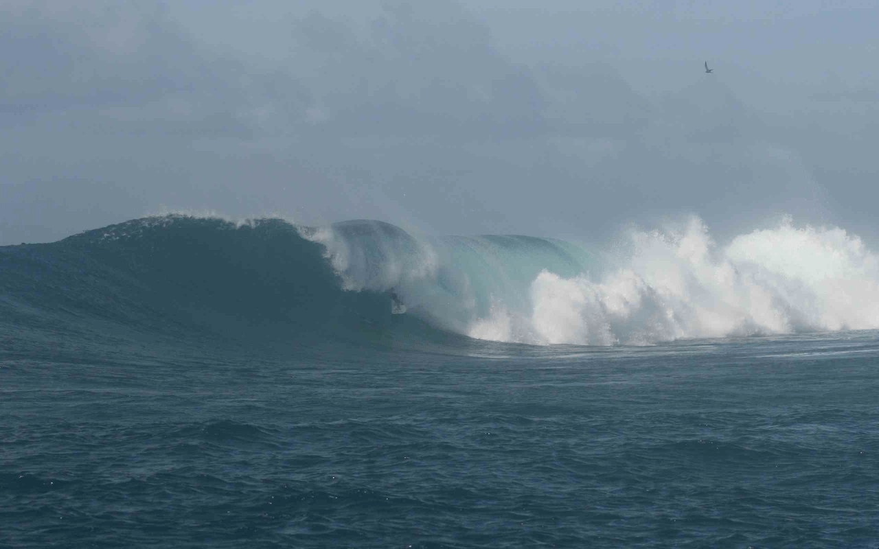 Screen Shot 2016-03-29 at 4.14.37 PM